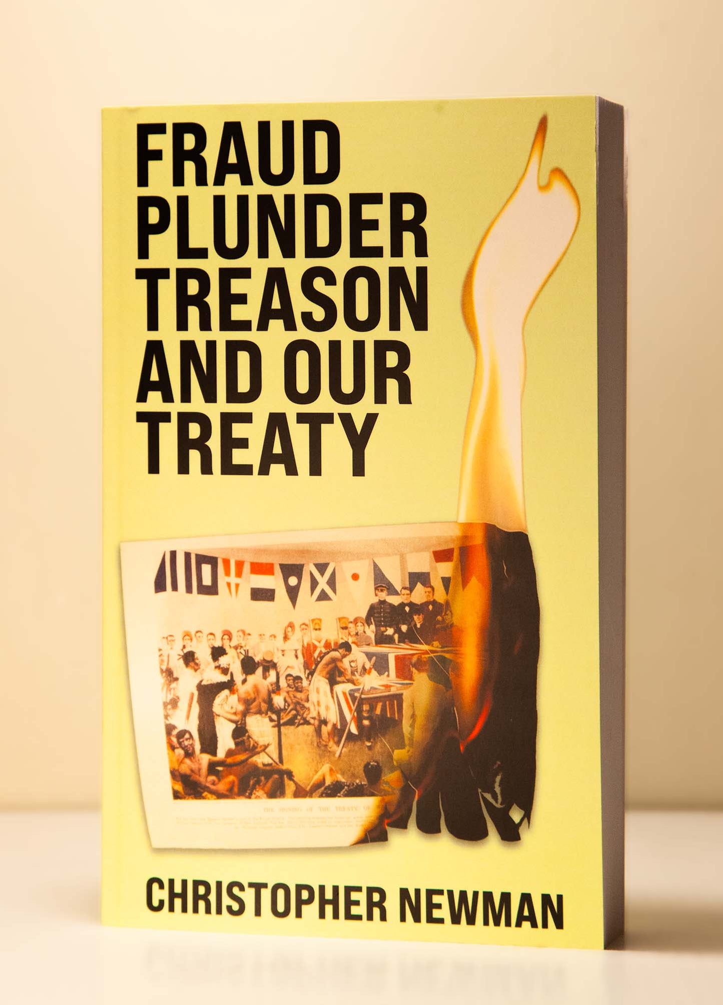 FRAUD PLUNDER TREASON AND OUR TREATY